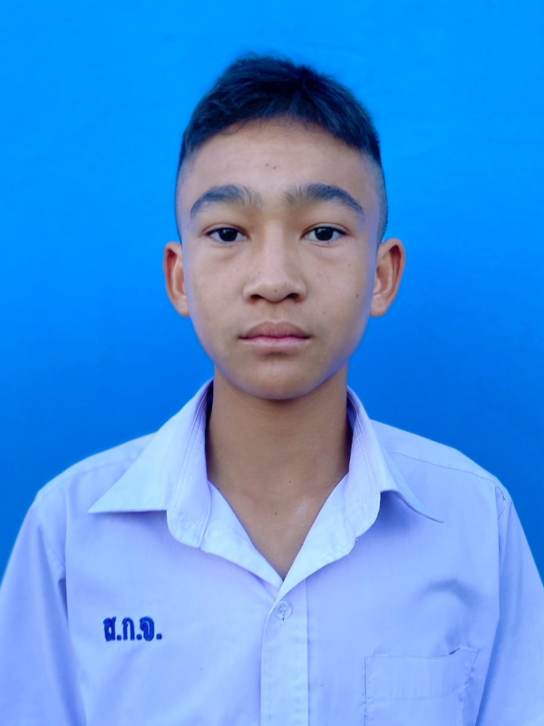 กฤตเมธ
